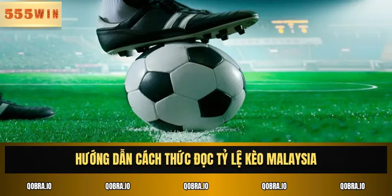 Hướng dẫn cách thức đọc tỷ lệ kèo Malaysia