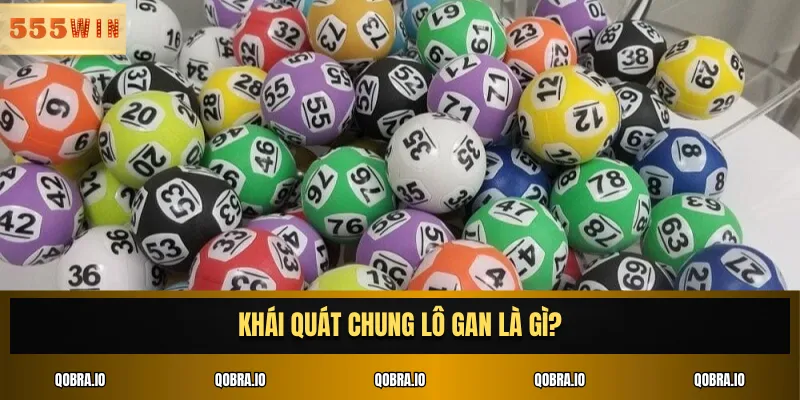Khái quát chung lô gan là gì?
