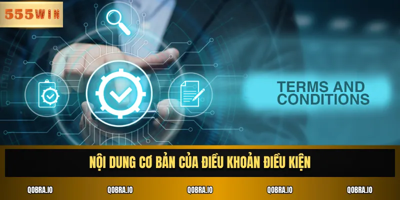 Nội dung cơ bản của Điều khoản điều kiện