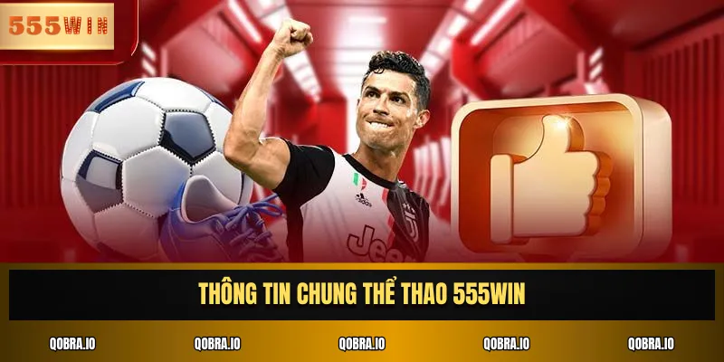 Thông tin chung thể thao 555WIN
